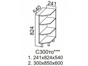 С300то Стол-рабочий 300 (торцевой открытый) в Соликамске - solikamsk.magazin-mebel74.ru | фото