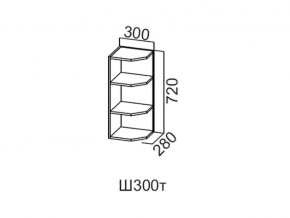 Ш300т/720 Шкаф навесной 300/720 (торцевой) в Соликамске - solikamsk.magazin-mebel74.ru | фото