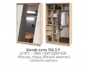 шкаф-купе ПШ-2.9 1500 Норд Белый жемчуг 1500 в Соликамске - solikamsk.magazin-mebel74.ru | фото