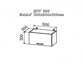 Шкаф верхний ДПГ500 горизонтальный в Соликамске - solikamsk.magazin-mebel74.ru | фото