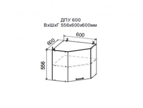 Шкаф верхний ДПУ600 угловой в Соликамске - solikamsk.magazin-mebel74.ru | фото