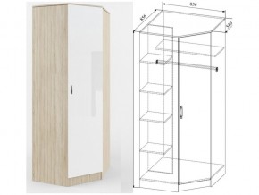 СШУ860.1 Шкаф угловой в Соликамске - solikamsk.magazin-mebel74.ru | фото